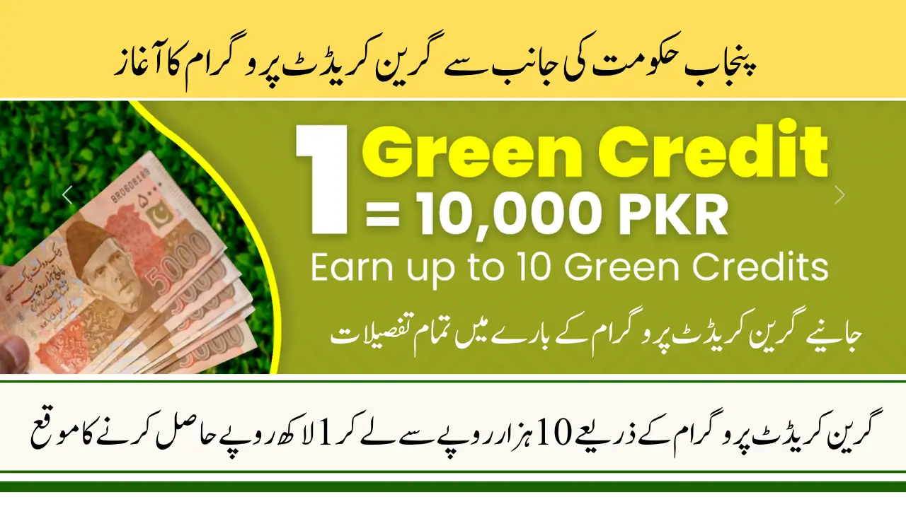 Maryam Nawaz Green Credit Program 2025 – Get Up to Rs.100,000 Reward by Punjab Government